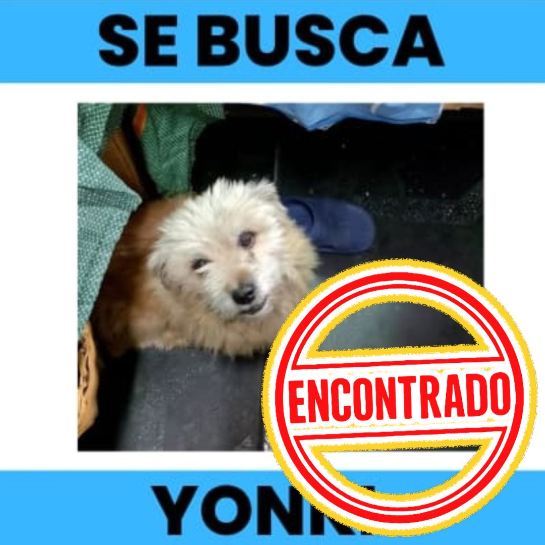 Yonki