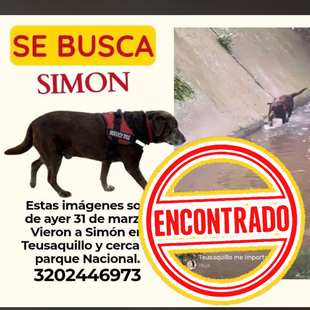 Simón