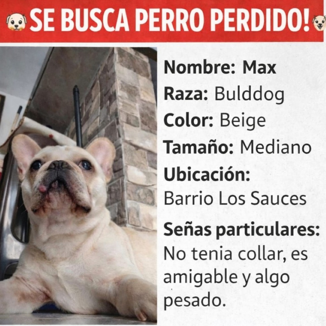 Perro Max