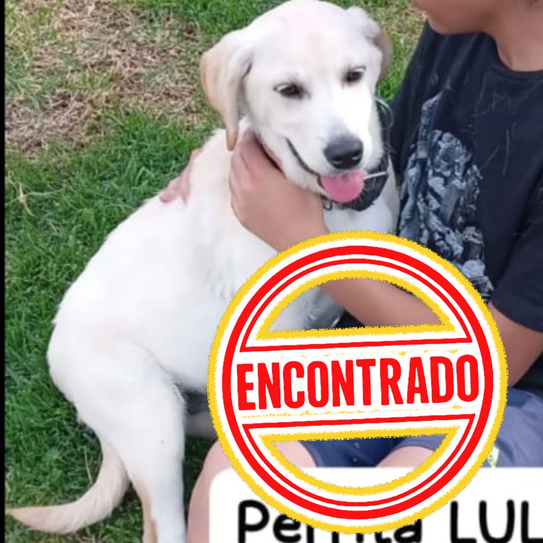 Lulú