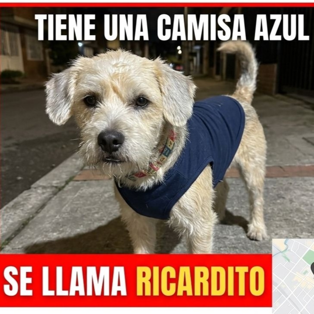 Perro Ricardito