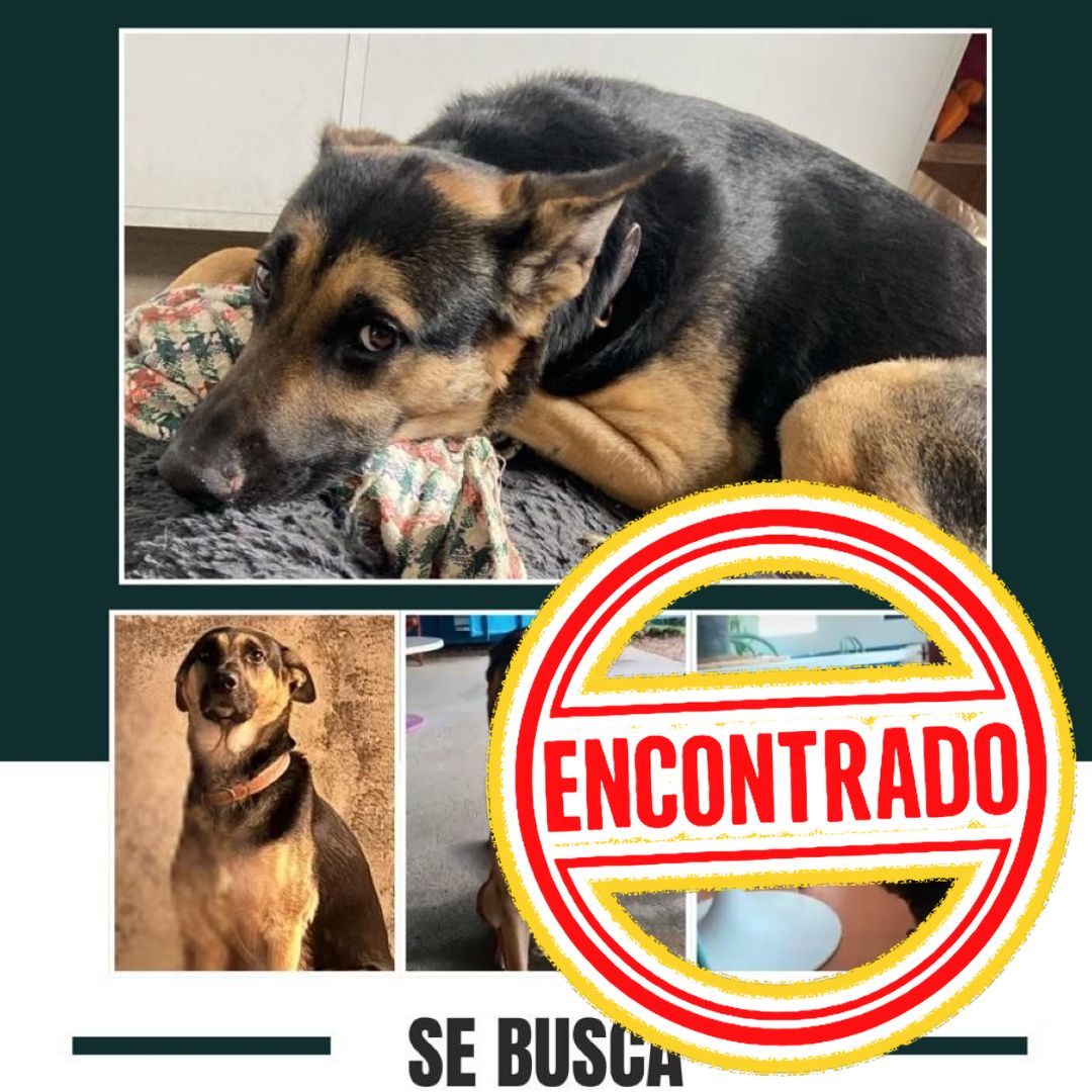 Guaro