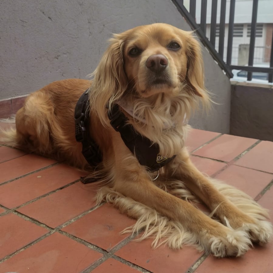 Coco