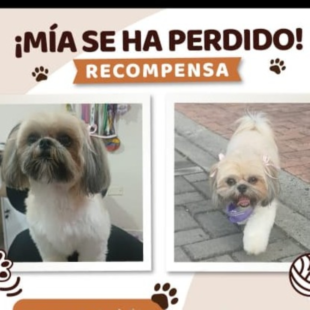 Mía