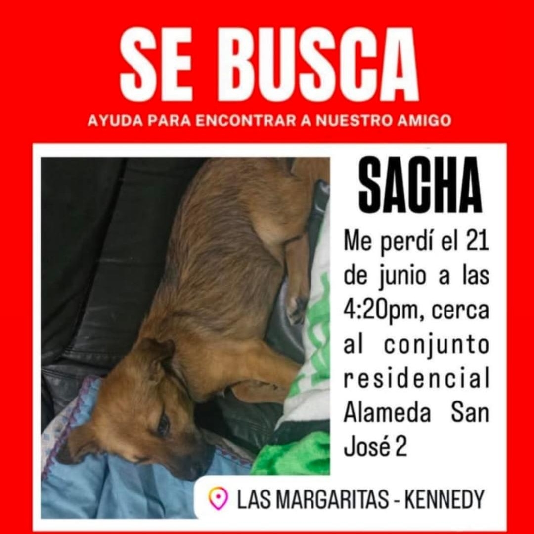 Sacha