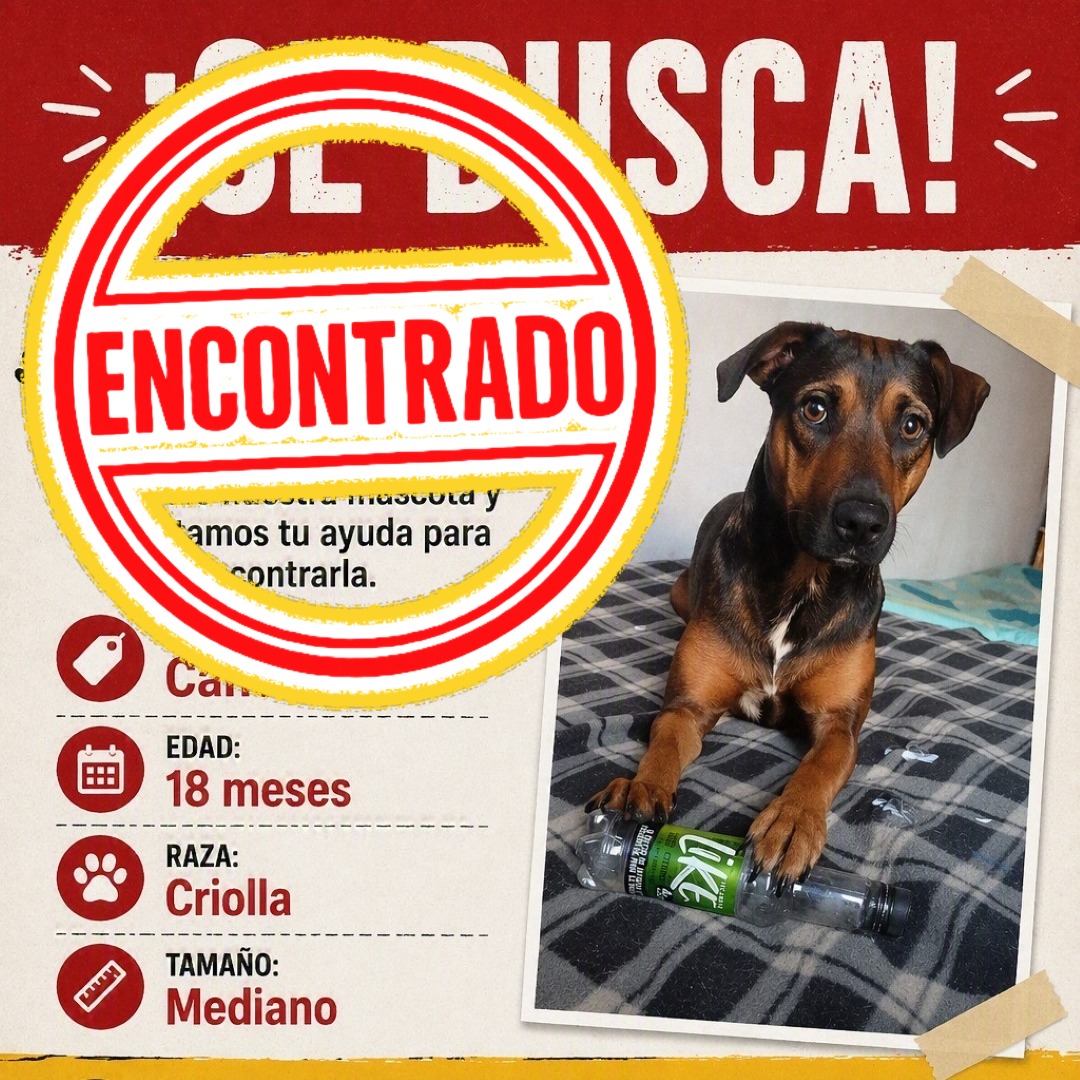 Canela