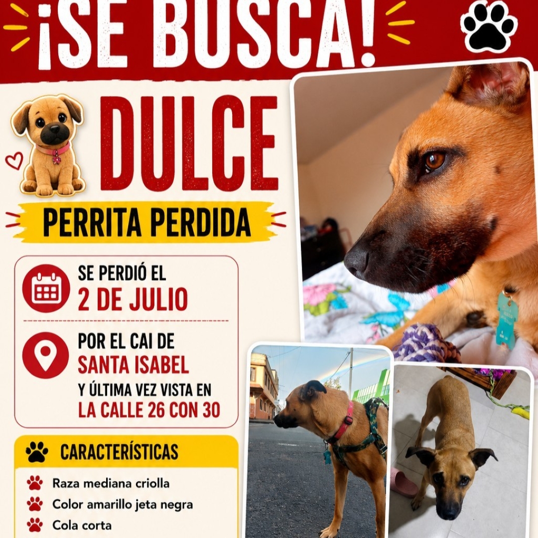 Dulce