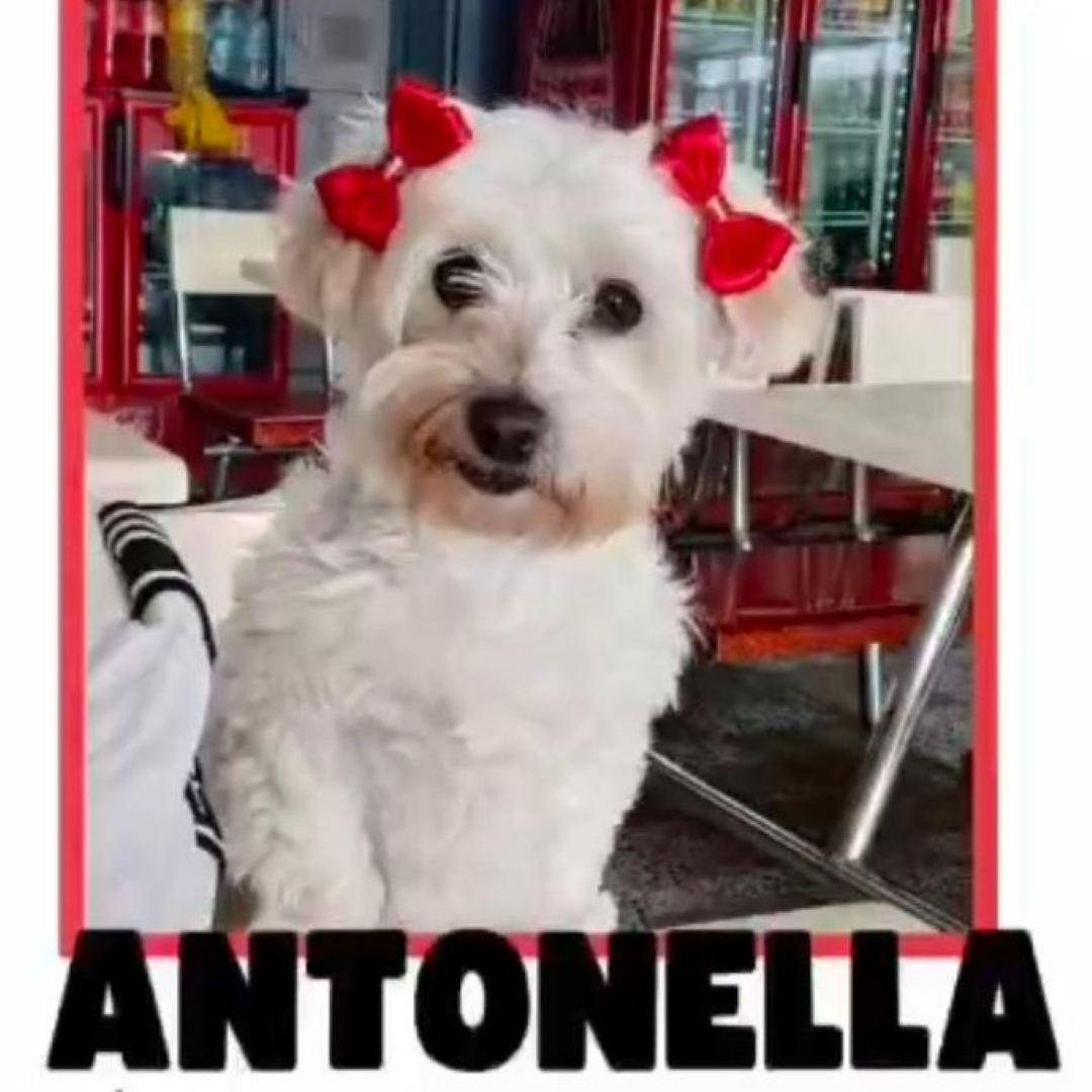 Antonella