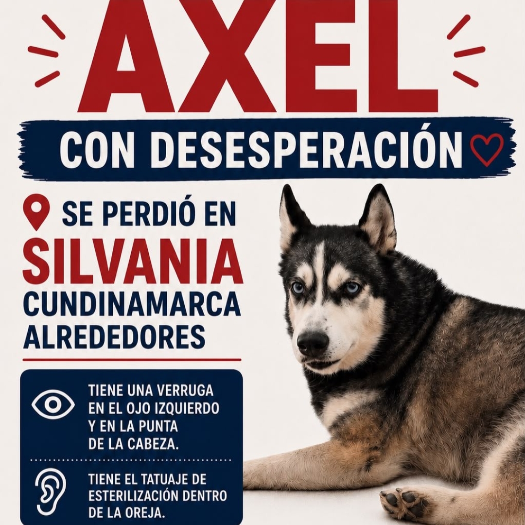 Axel