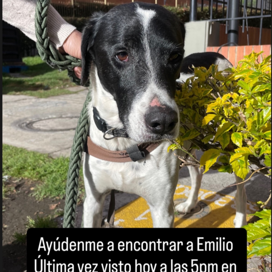 Emilio
