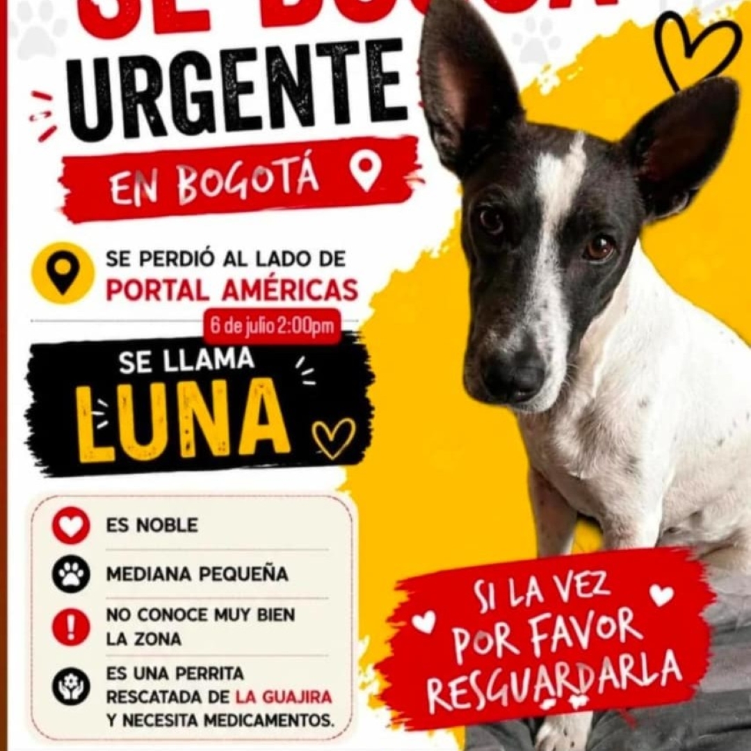 Luna