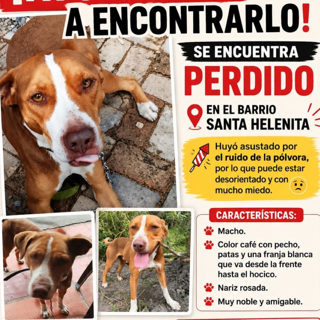 Roky