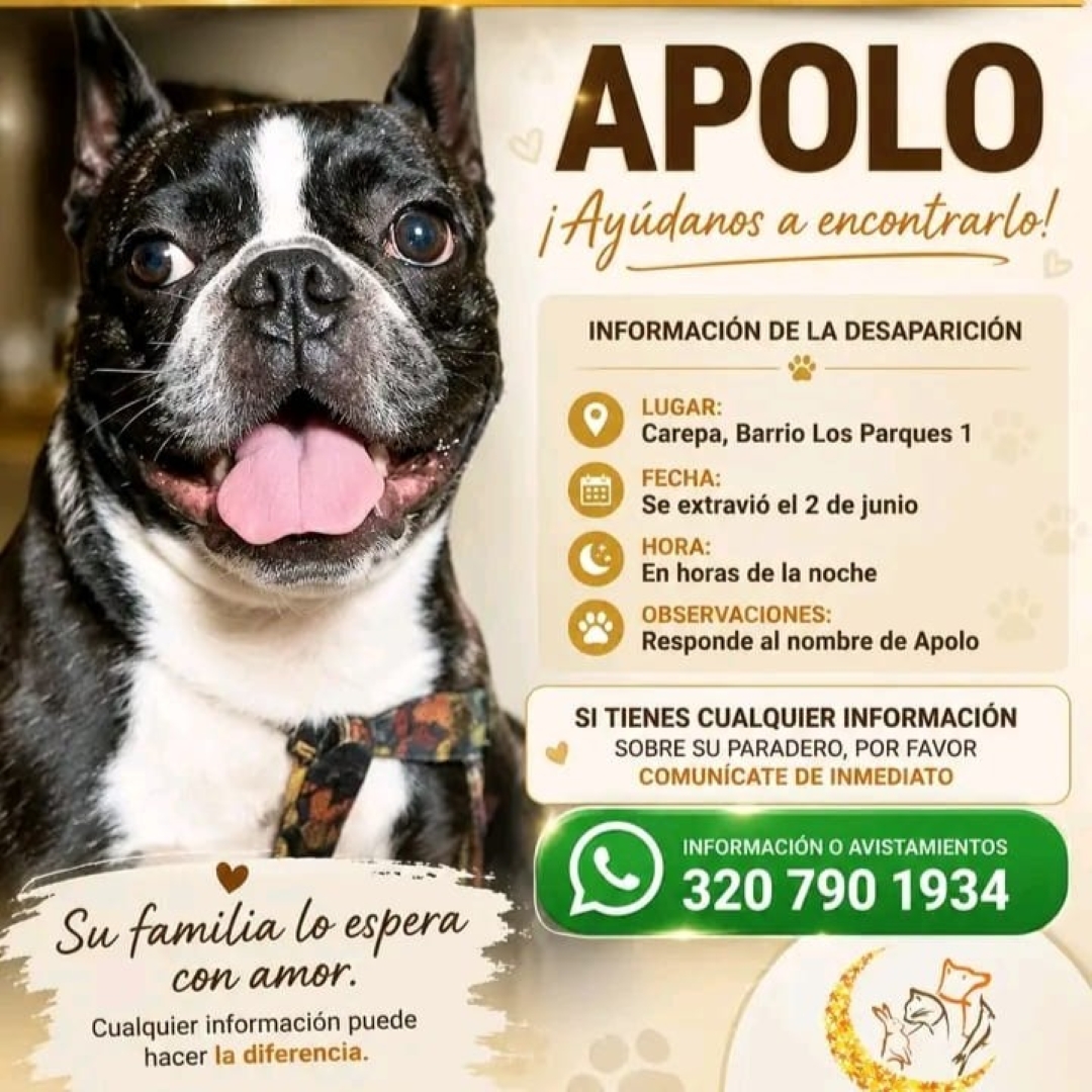 Apolo