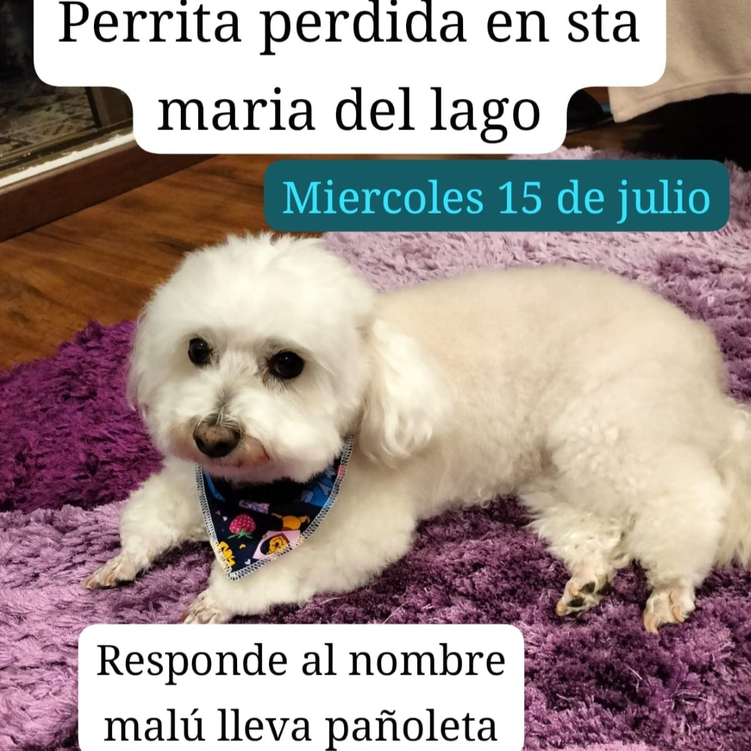 Malú