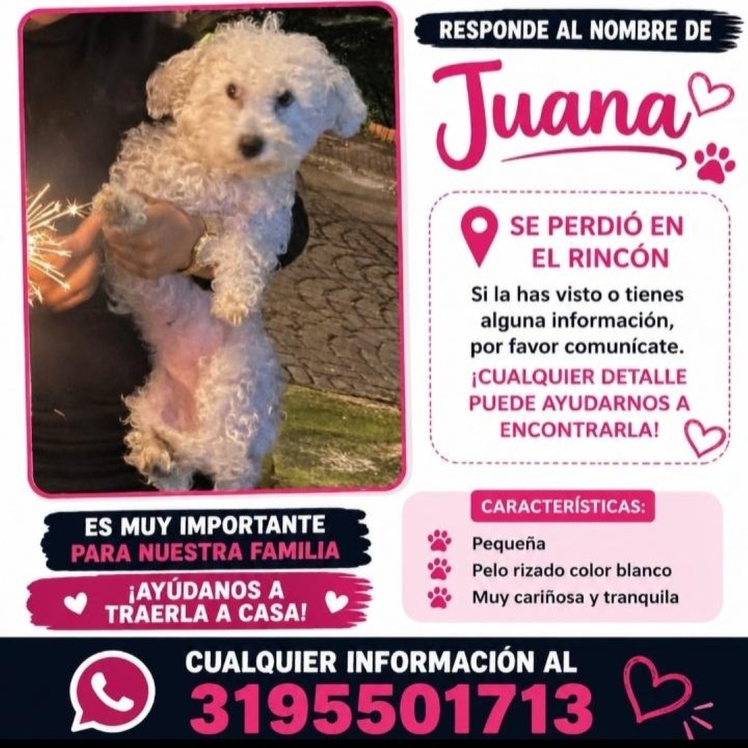 Perro Juana