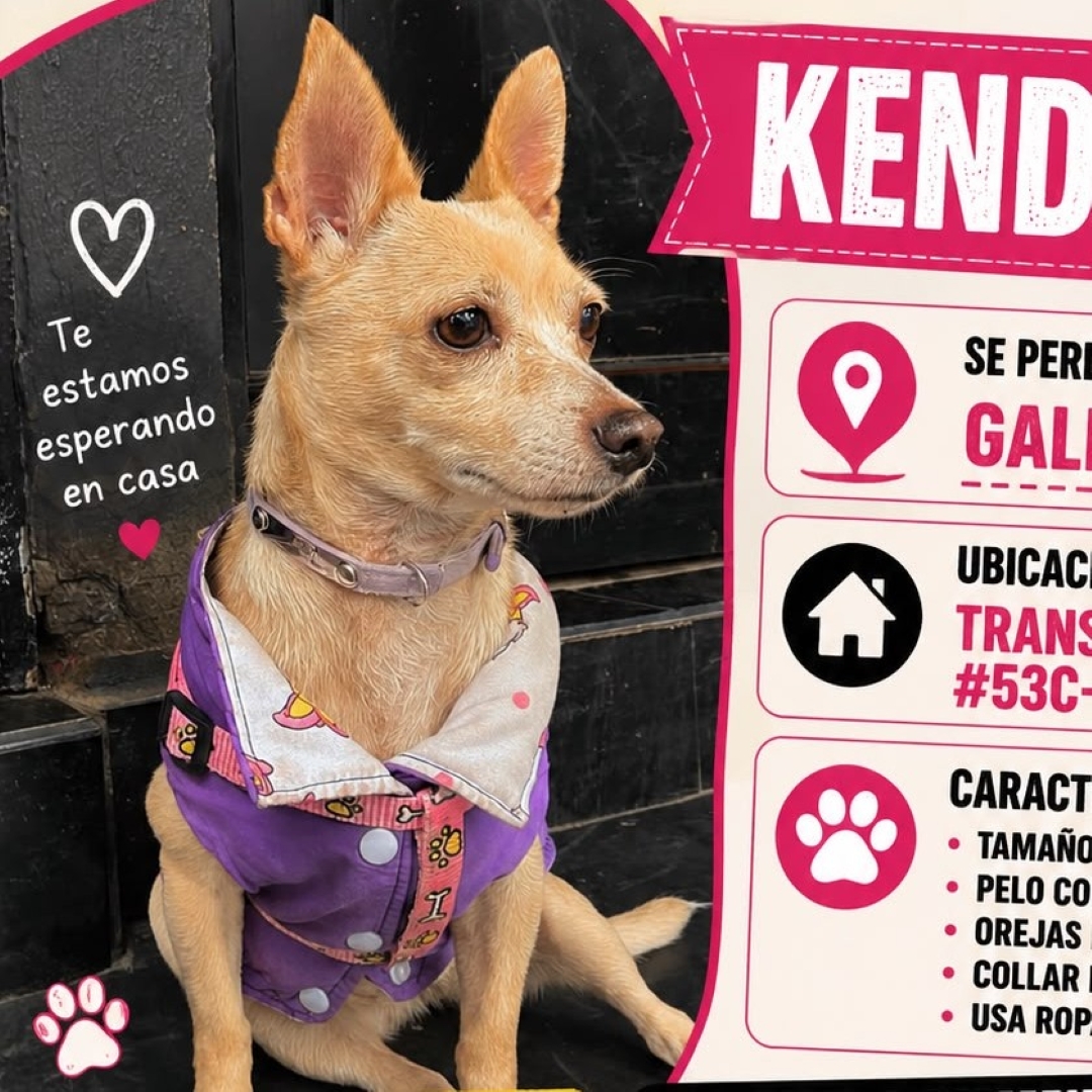 Kenadall