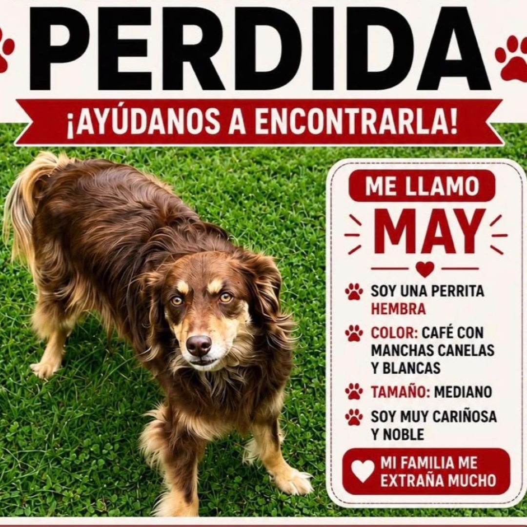 May