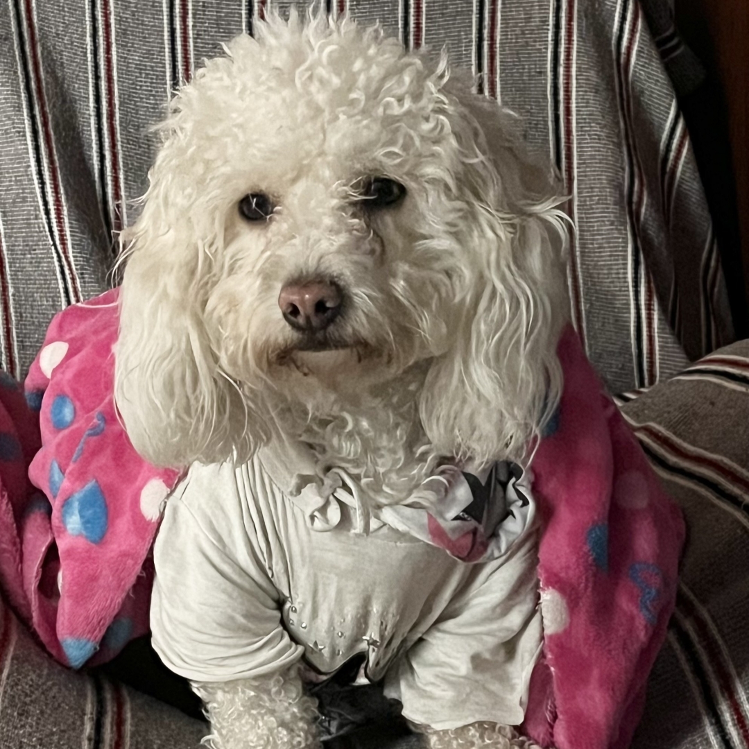 Molly