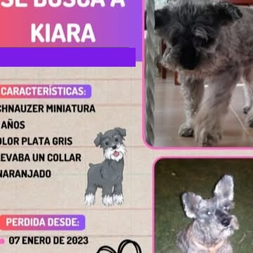 Kiara