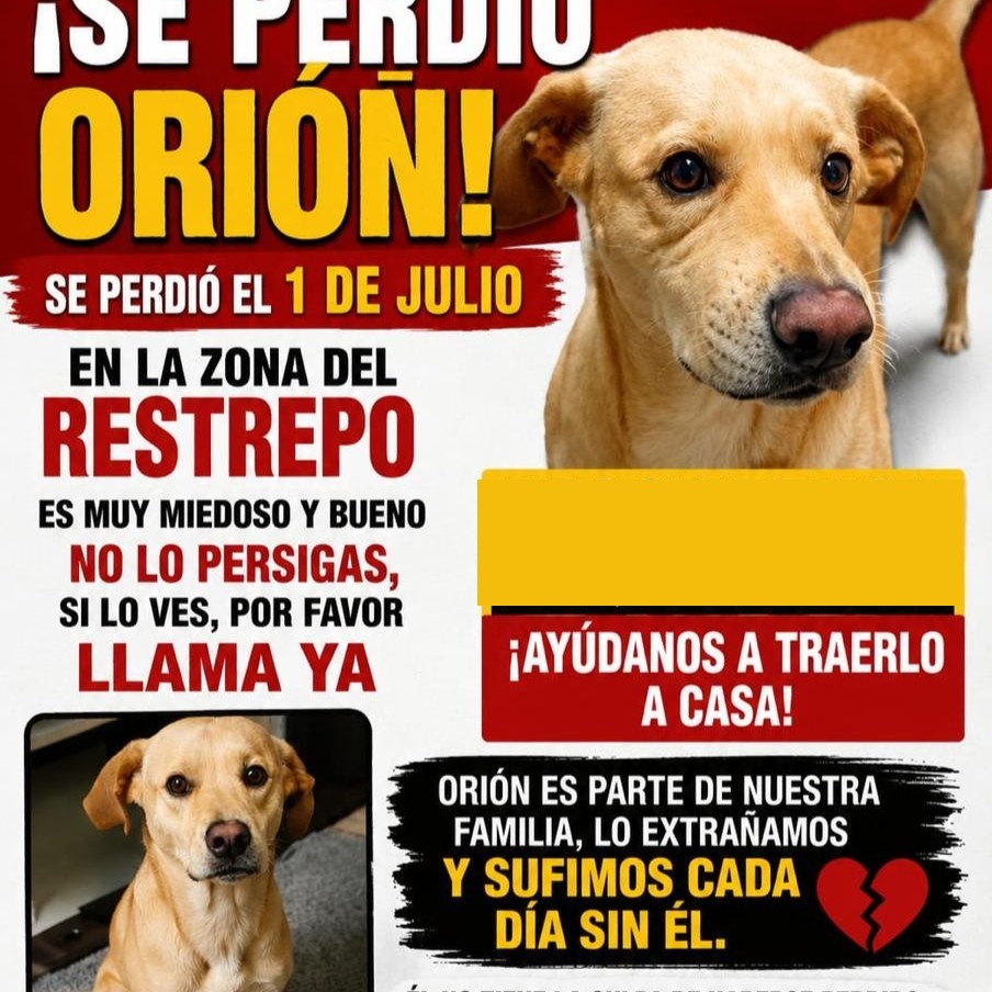 Orión