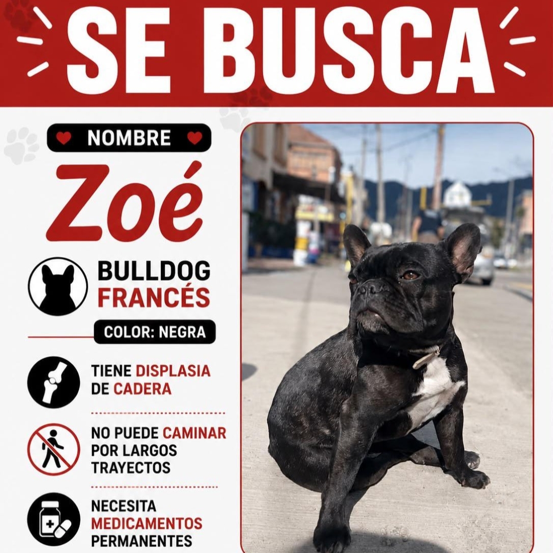 Zoé
