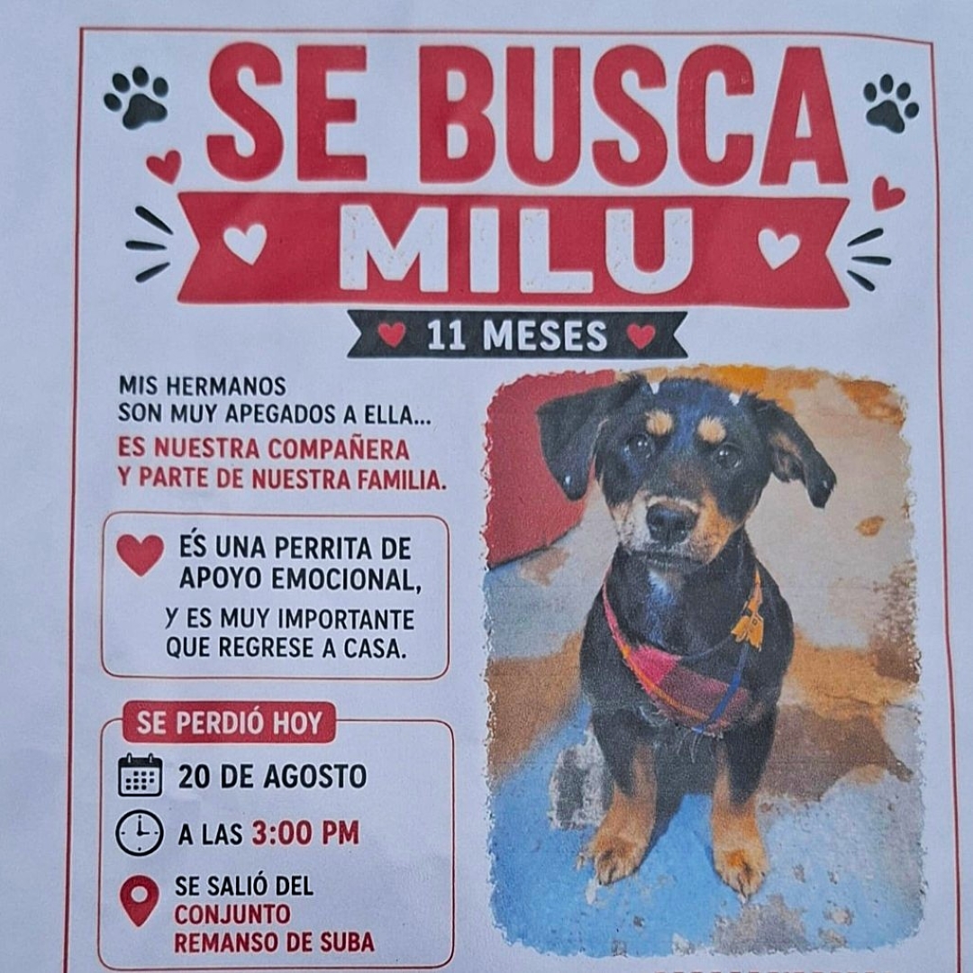 Milú