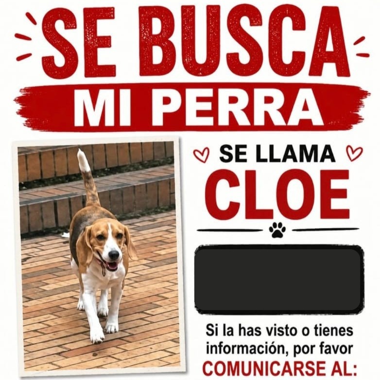 Perro Cloe