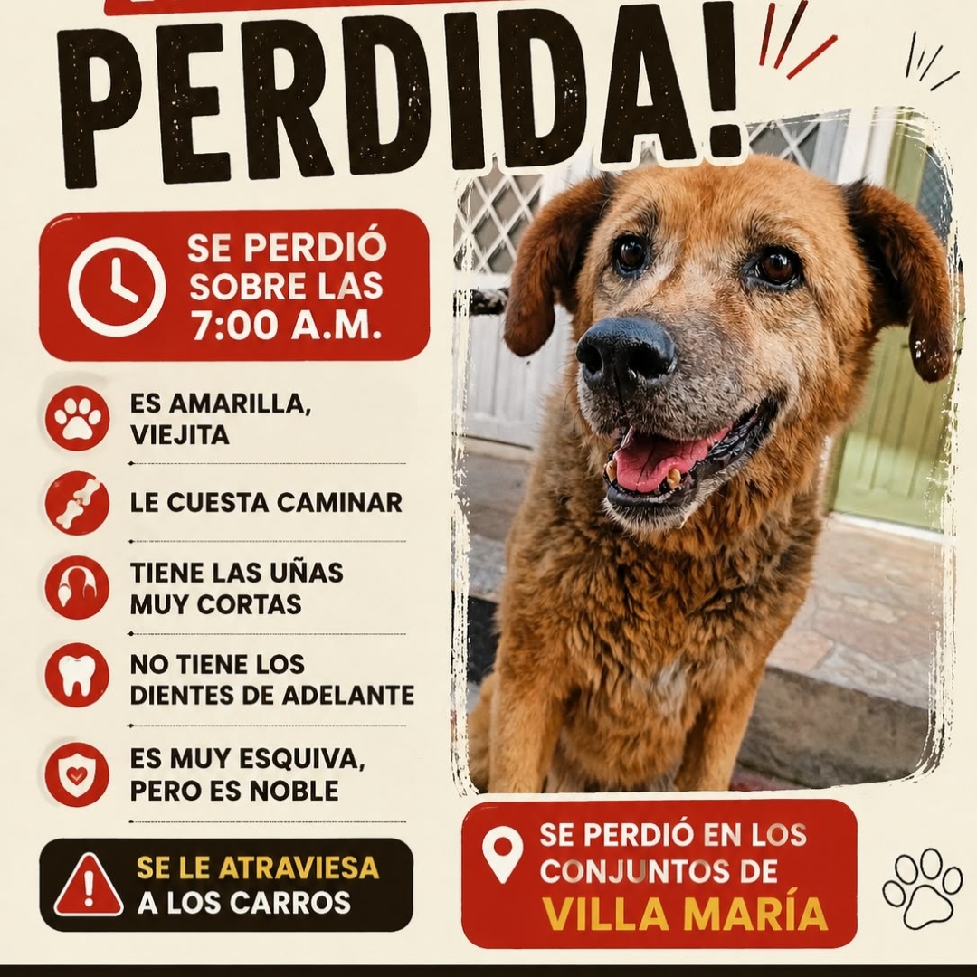 Perro Perrita