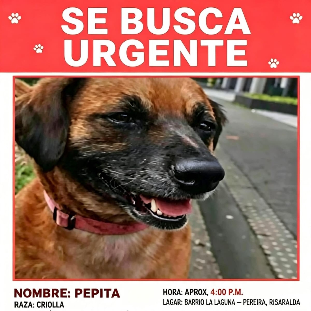 Perro Pepita