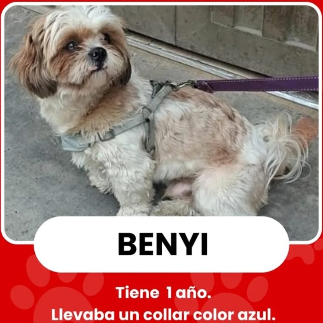 Benyi