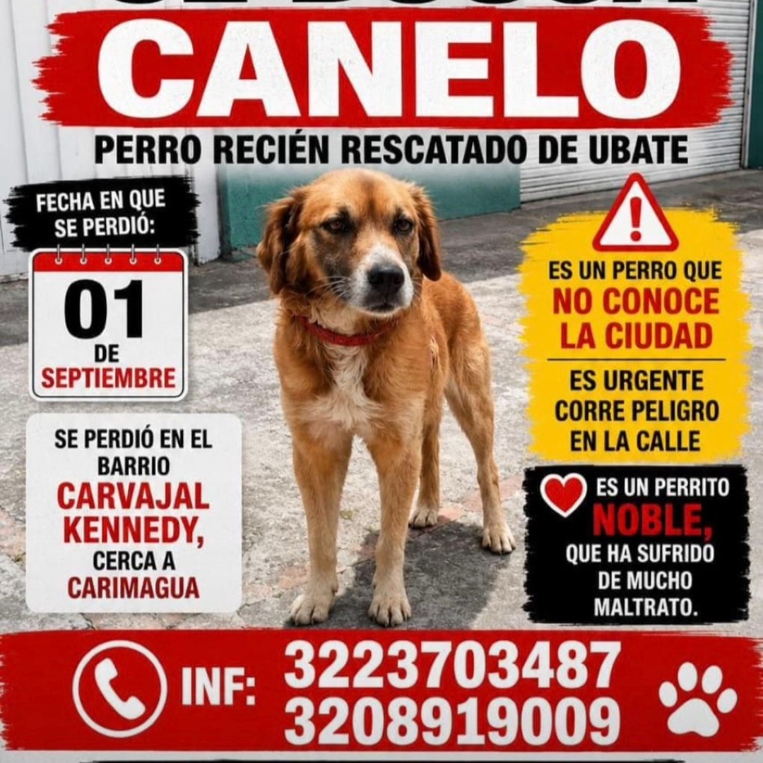 Canelo