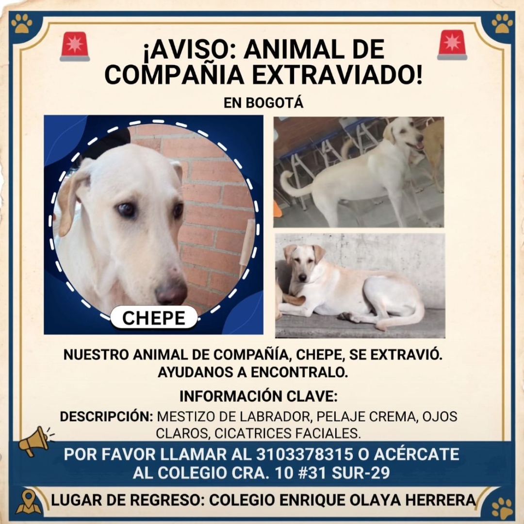 Chepe