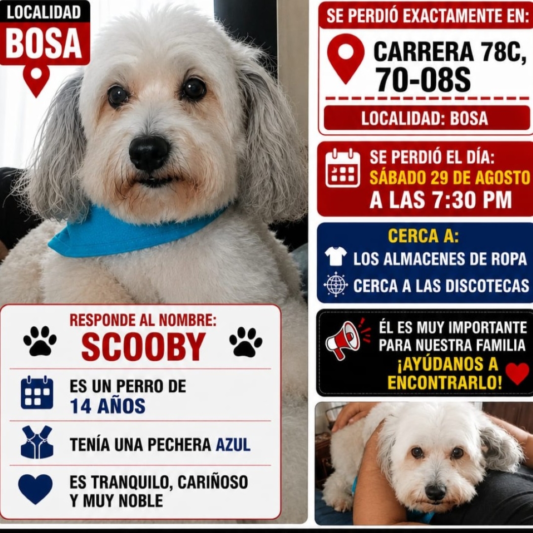 Scooby