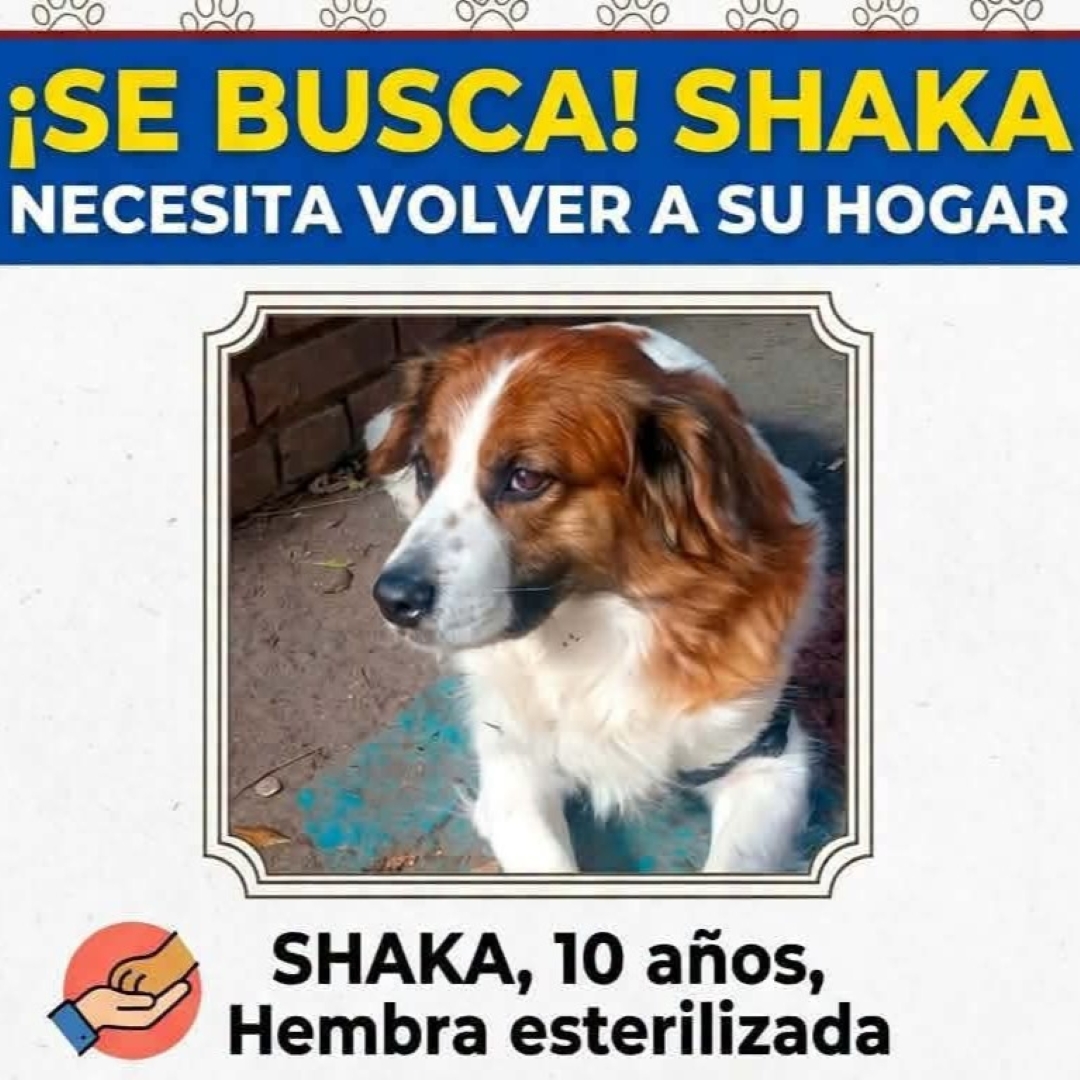 Shaka