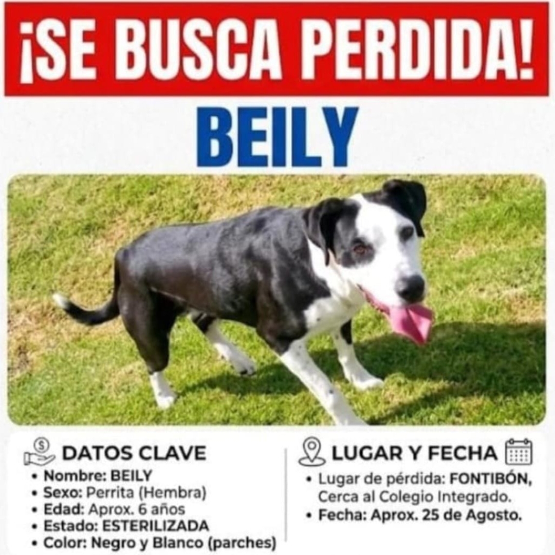 Beily