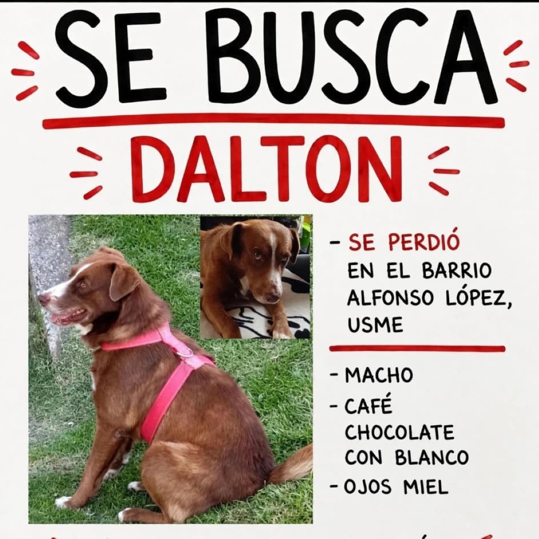 Dalton