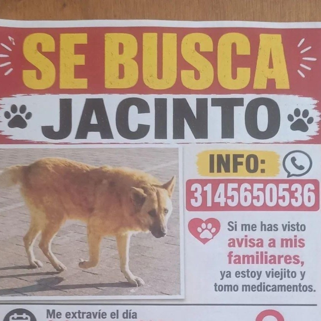 Jacinto
