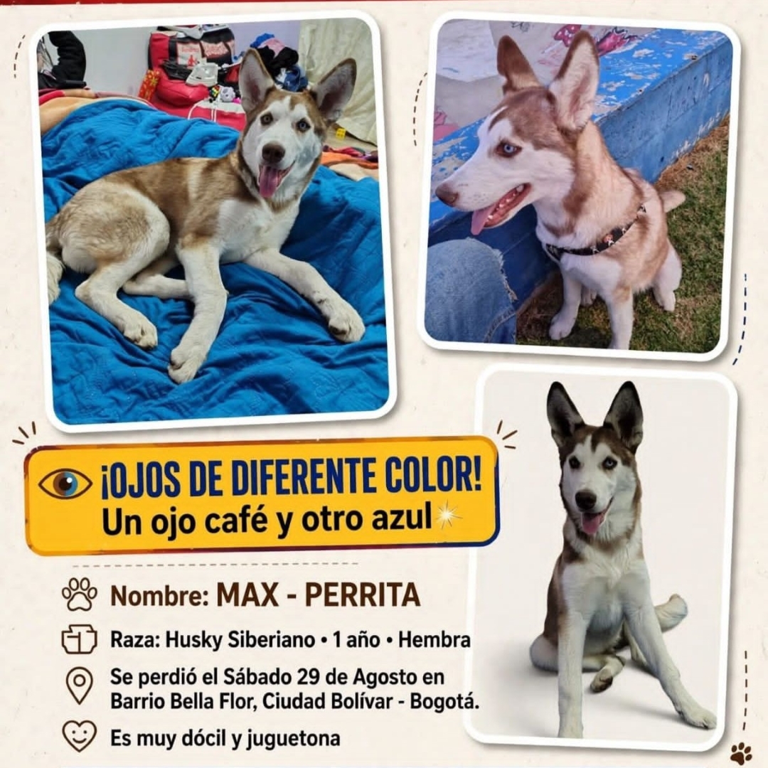 Max (hembra)