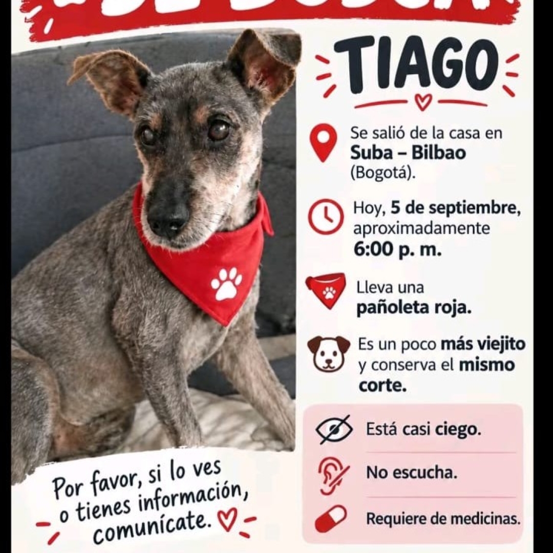 Tiago