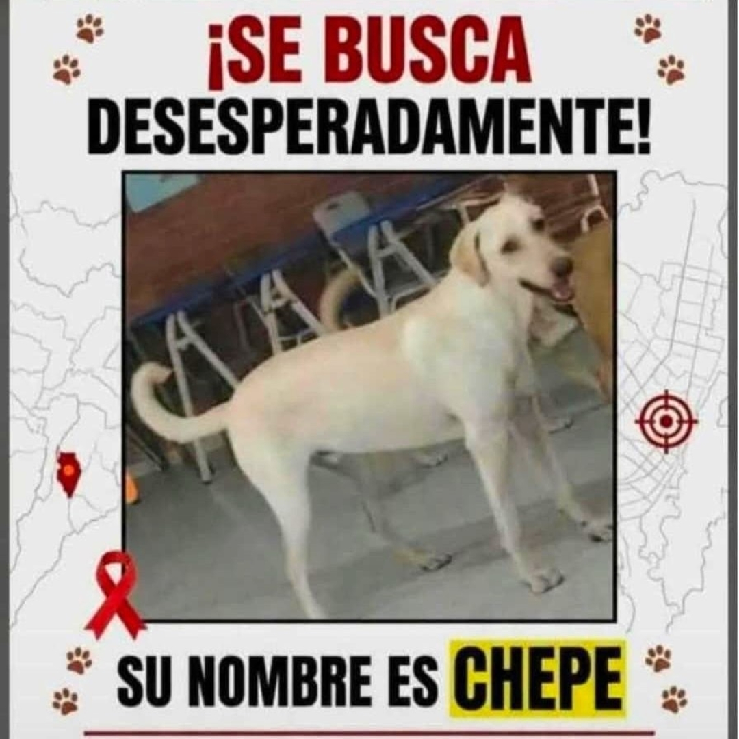 Chepe