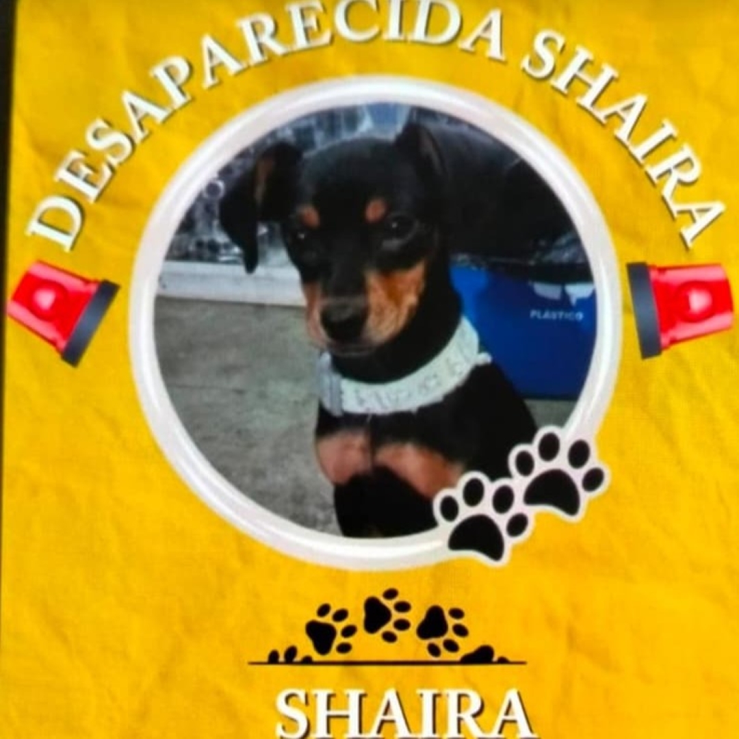 Shaira