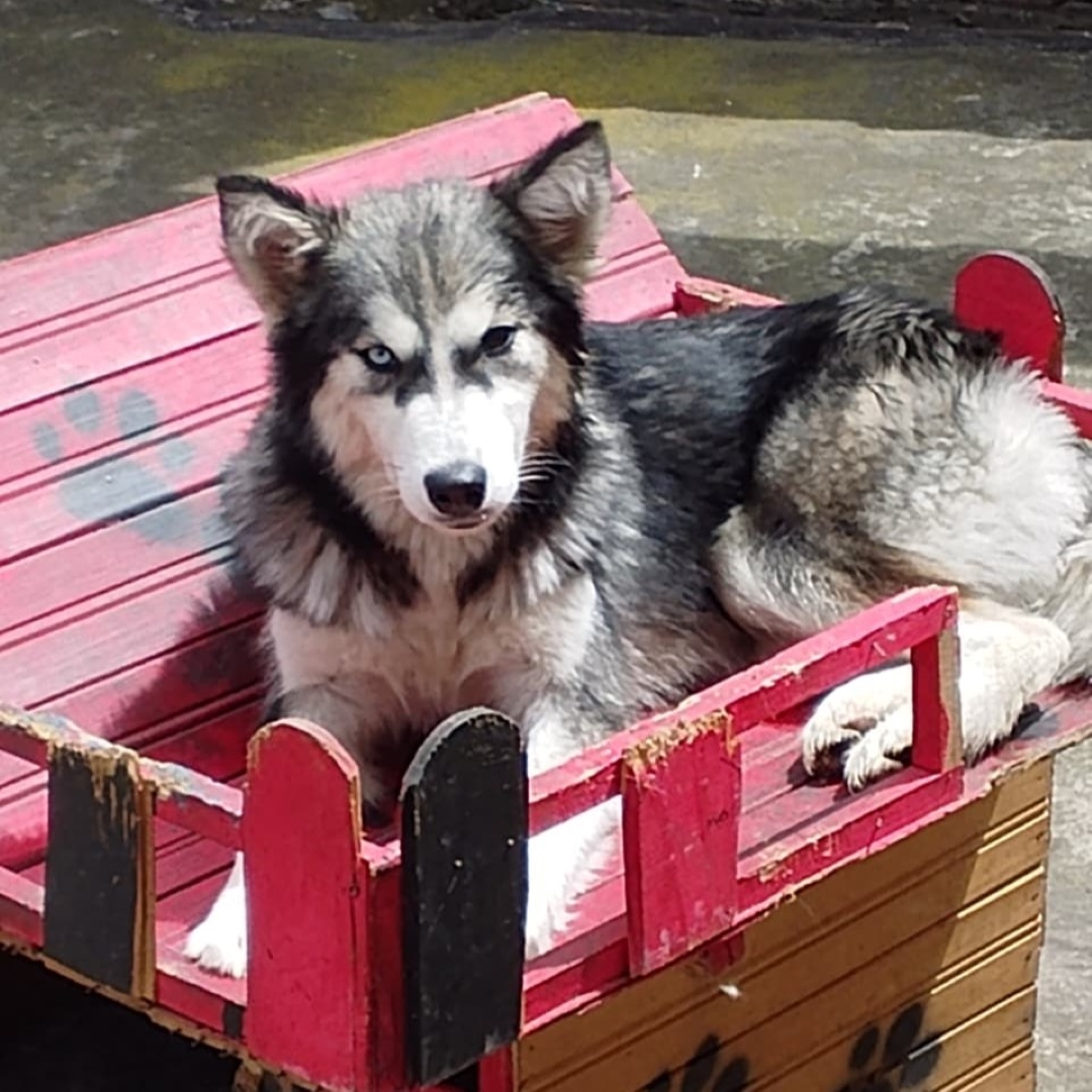 Alaska