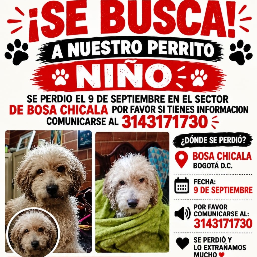 Niño