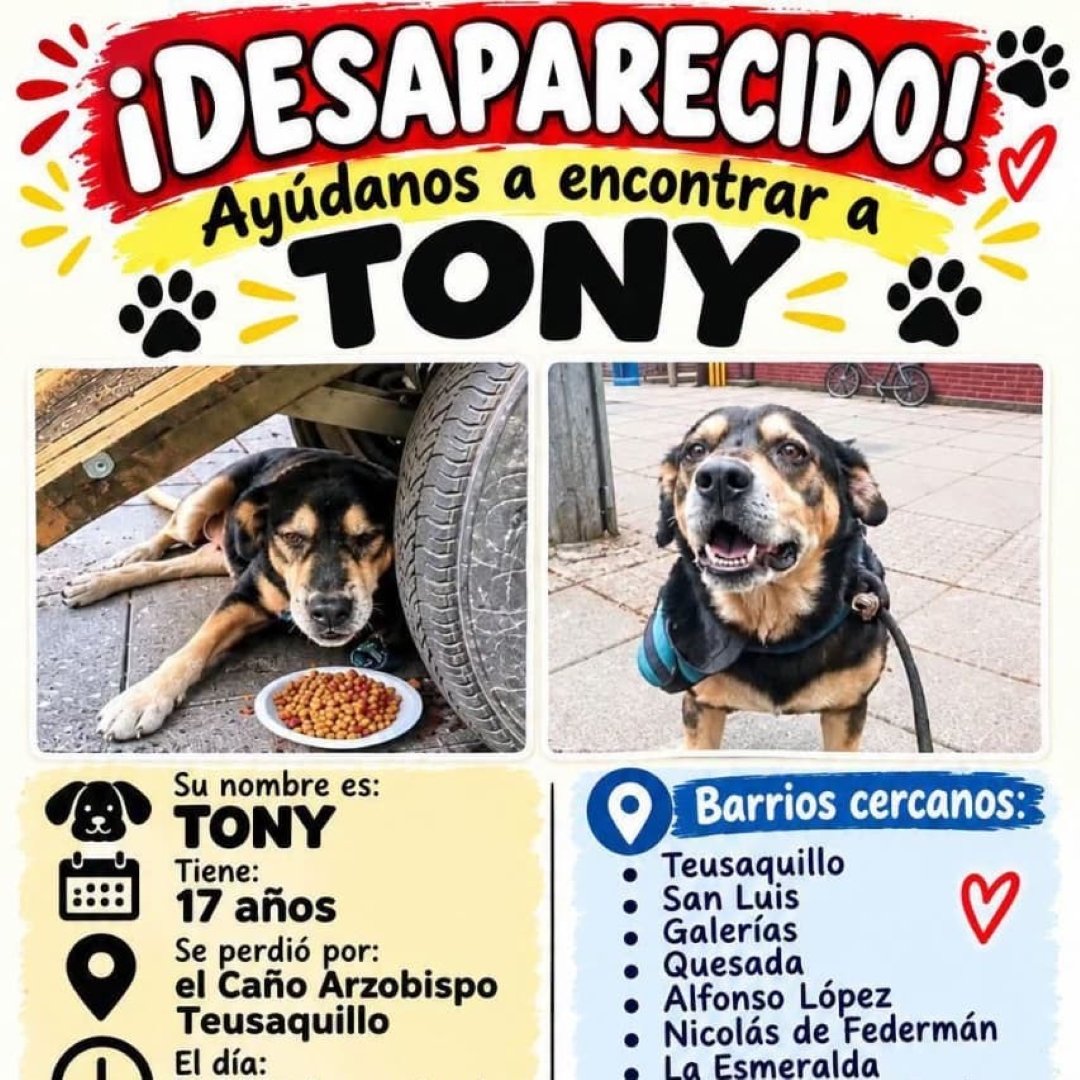 Tony