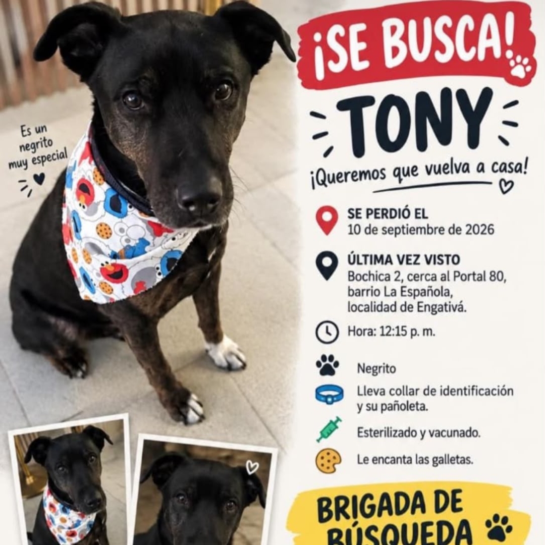 Tony