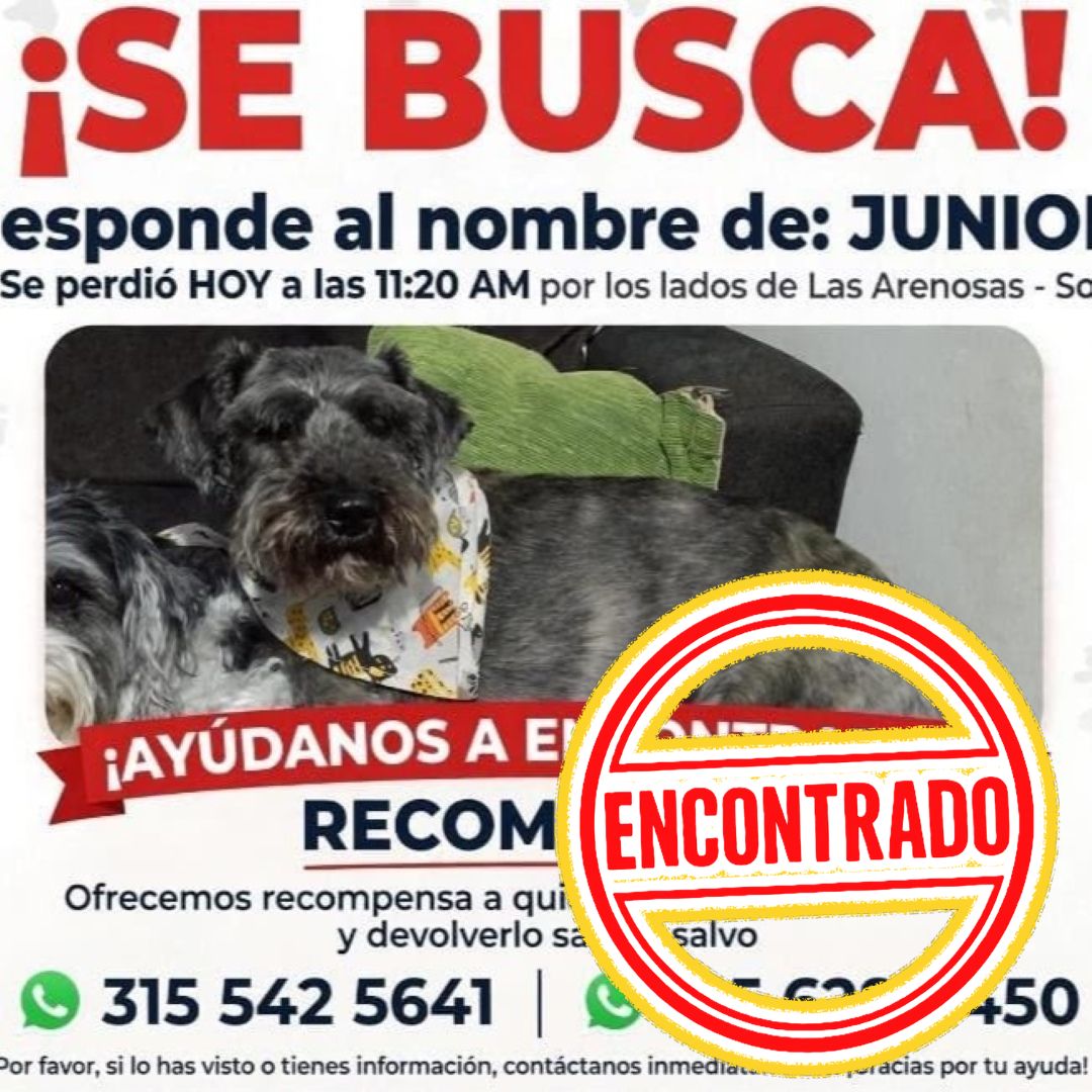 Junior