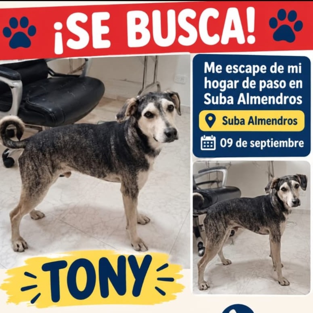 Tony