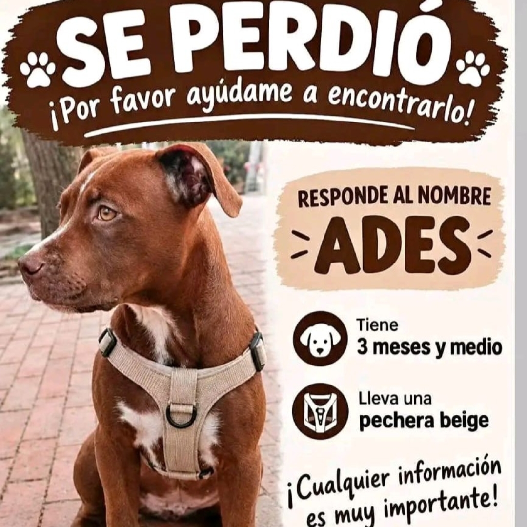 Ades