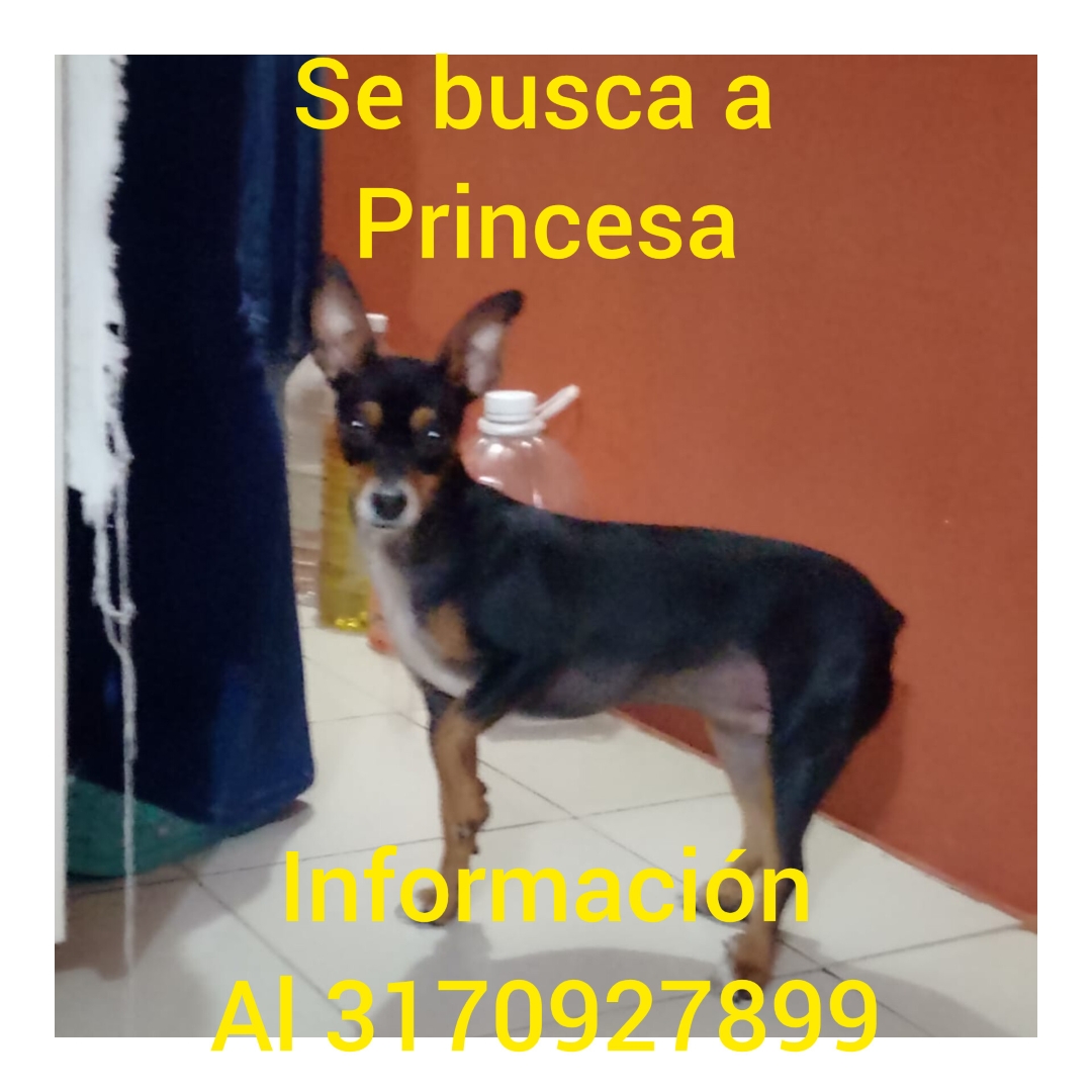 Princesa