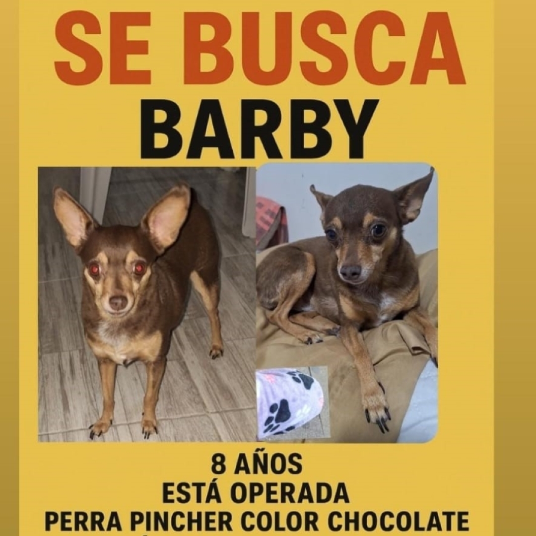 Barby